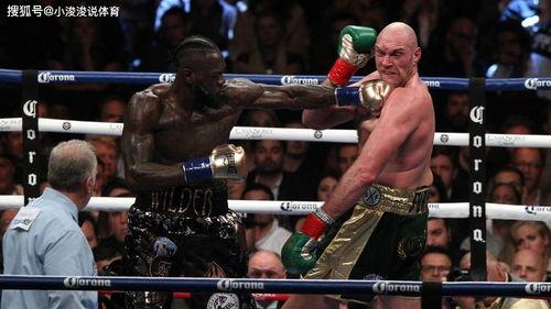 拳王怀特最新爆料,最新动态与未来计划曝光！”  第3张